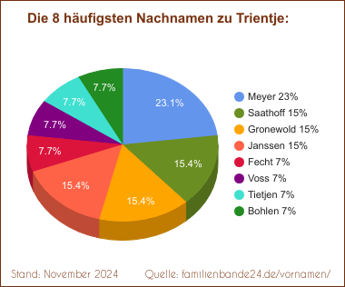 Die häufigsten Nachnamen zu Trientje als Tortendiagramm