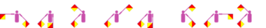 Der Voname Sailaxmi im Flaggencode